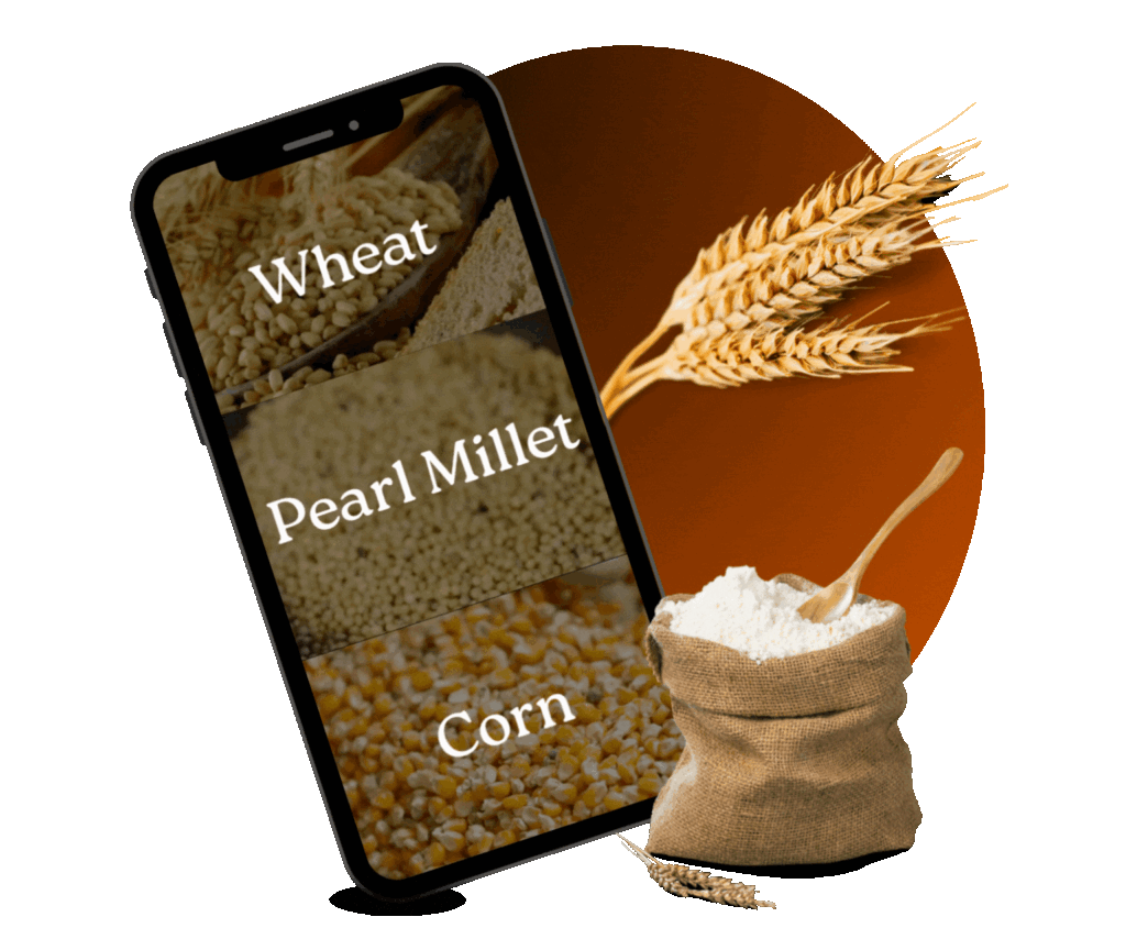 Food Processing Machinery Manufacturers in Ghaziabad